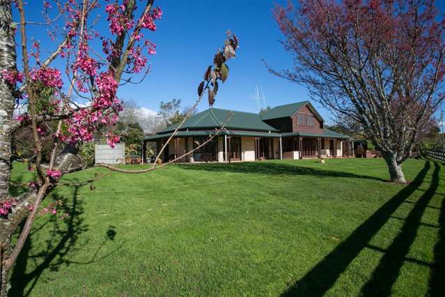 290 Franklin Street Pirongia_4