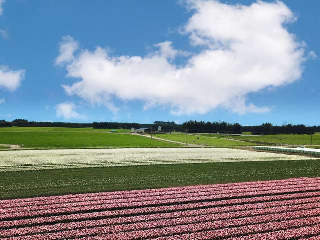 Some of the best soils in Southland