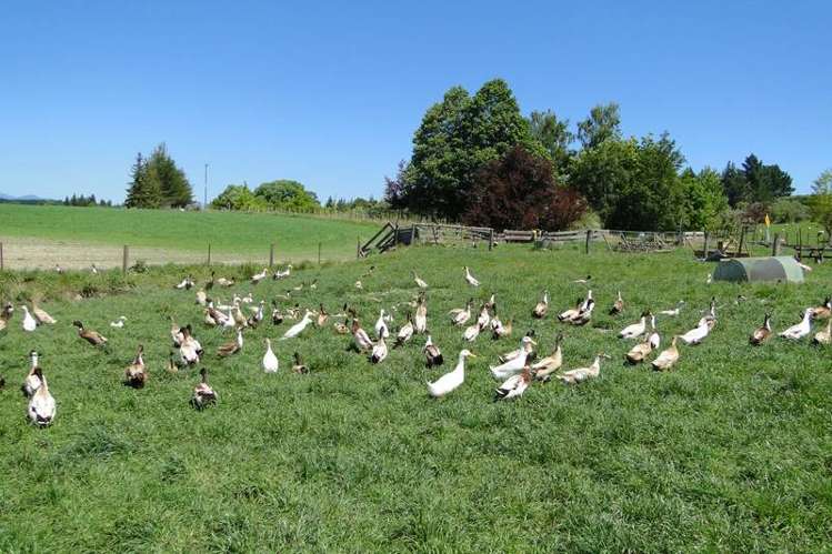 97 Gardner Valley Road Upper Moutere_18