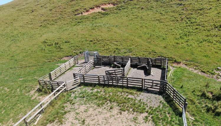 Kahuwera Road Piopio_29