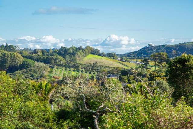 10 Pah Road Onetangi_3