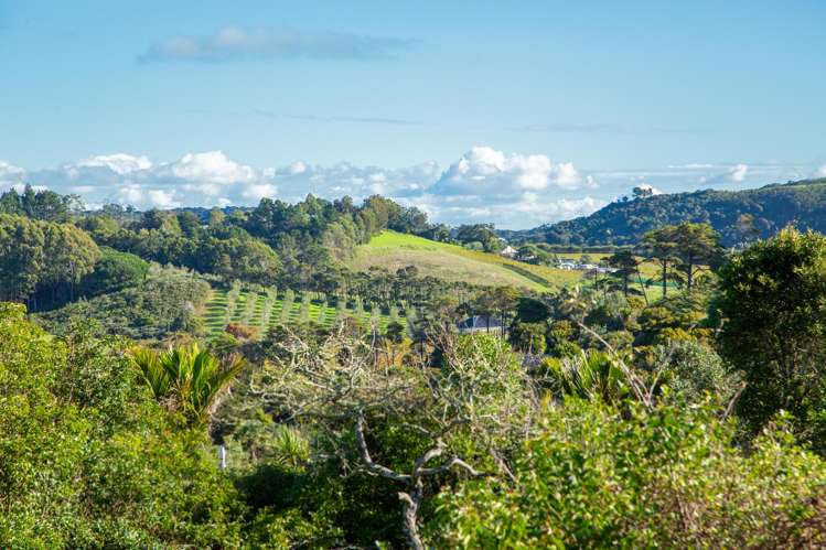 10 Pah Road Onetangi_3