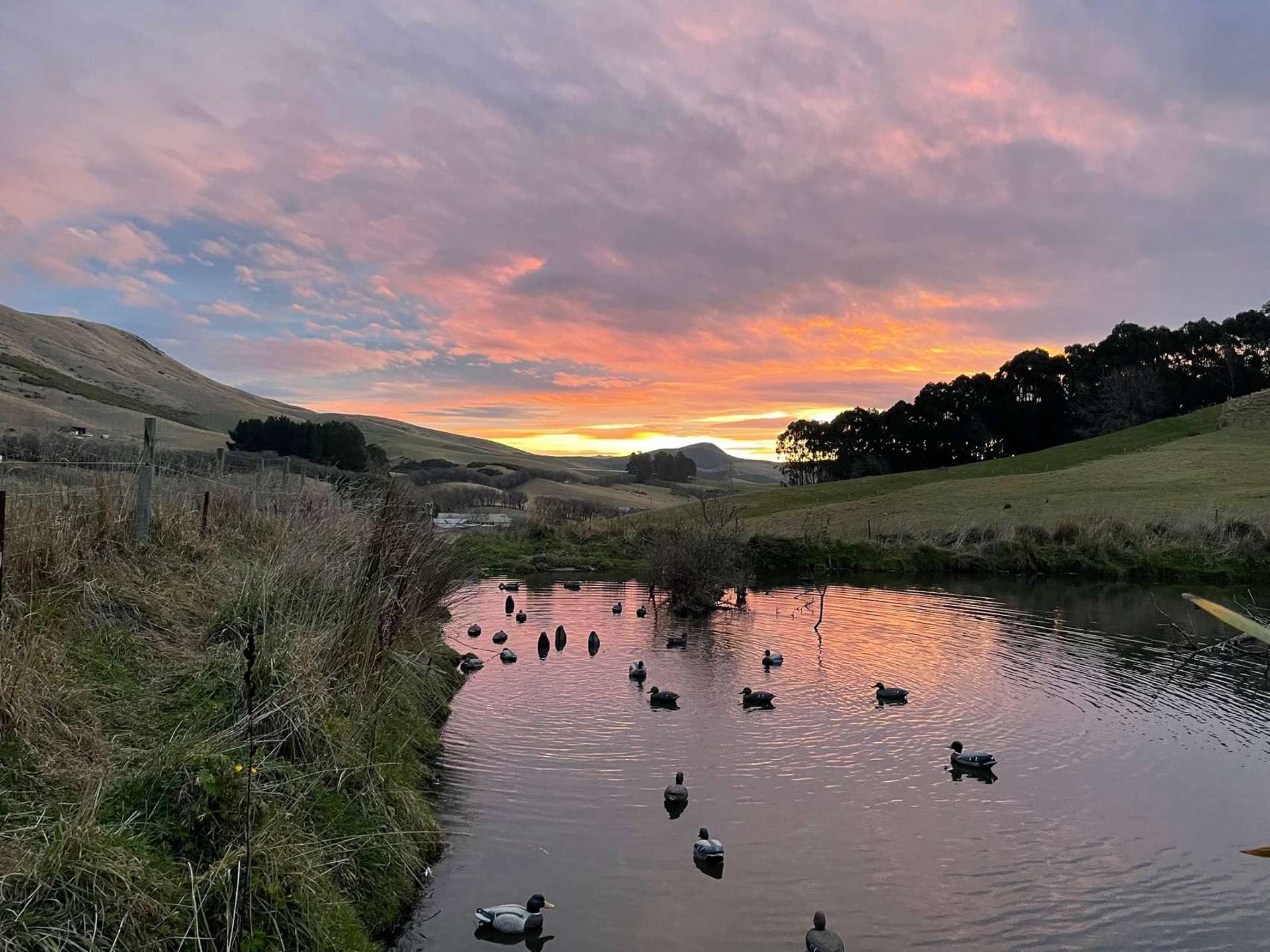 996 Goodwood Road Palmerston_0