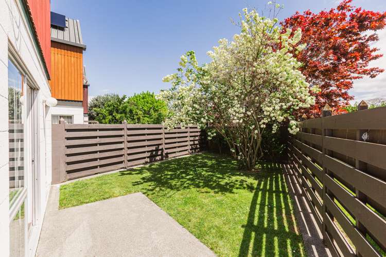 163A Guppy Road Taradale_9