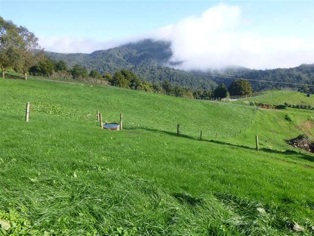 79a Dickey Flat Road Waikino_2