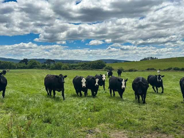 160 Blackwater Road Ermedale_2