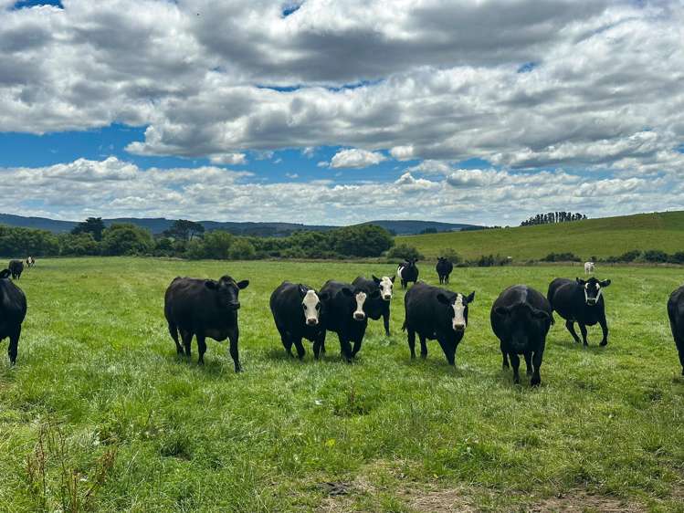 160 Blackwater Road Ermedale_2