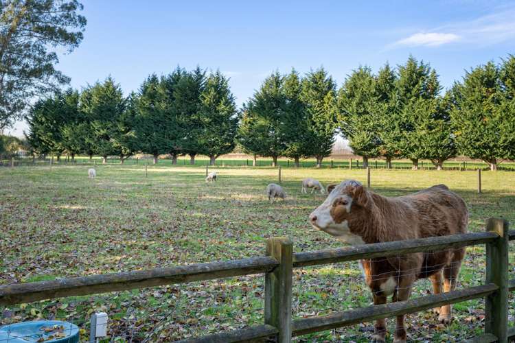 28 Bothams Bend Road Spring Creek_73