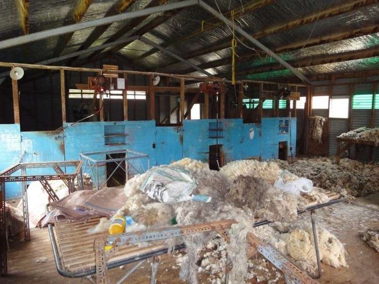 509 Mangaramarama Road Pahiatua_6