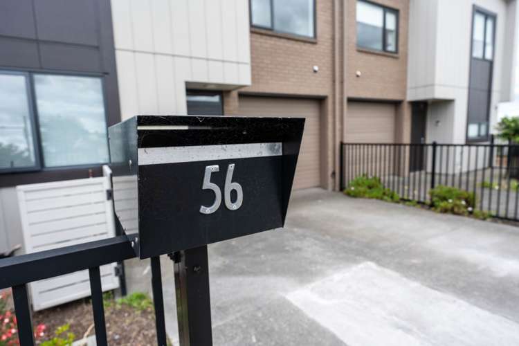 56 Whimbrel Road Flat Bush_11