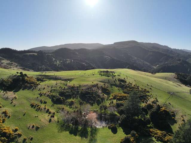 121 Silverstream Valley Road North Taieri_4