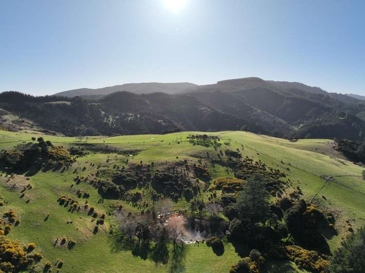 121 Silverstream Valley Road North Taieri_4