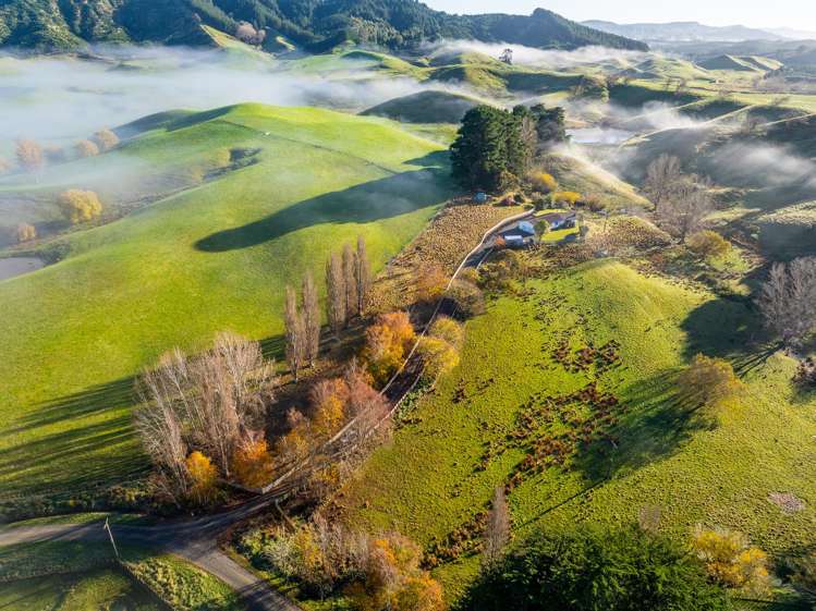 25 Te Mapi Road Ngaumu_15