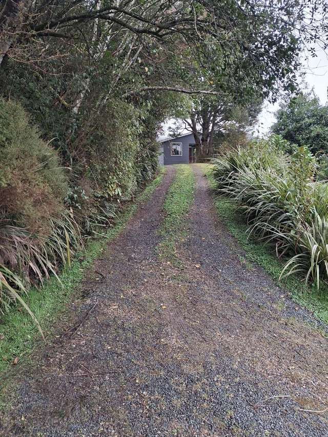 Address withheld Waipori Falls_3