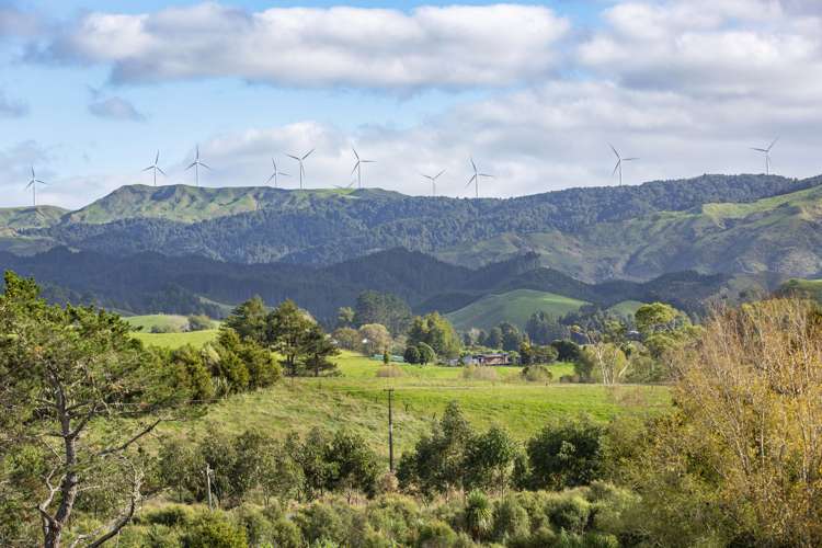 1068a Old Mountain Road Raglan_40