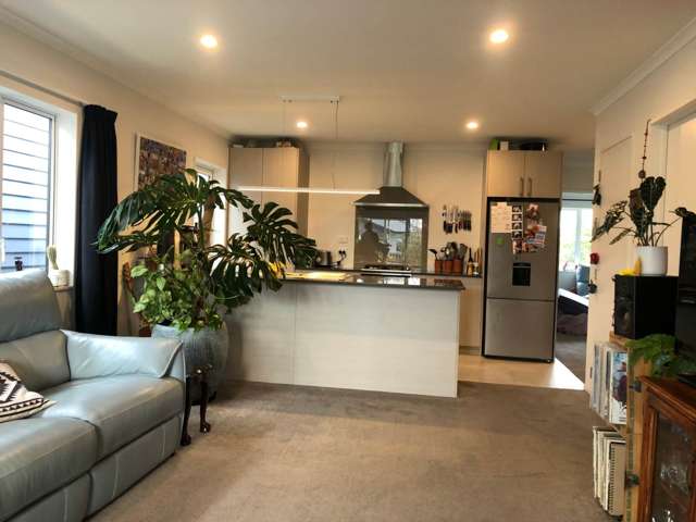 125 Kuaka Drive Takanini_1