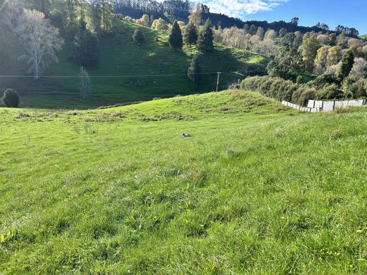 1/627 Waitomo Valley Road_4