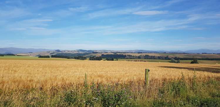 49 Robinson Road Pleasant Point_8