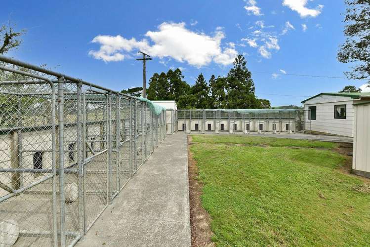 88 Rapson Road Waitoki_22