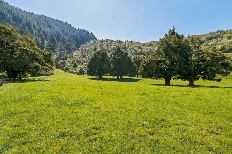 30 Twidles Road Havelock_10