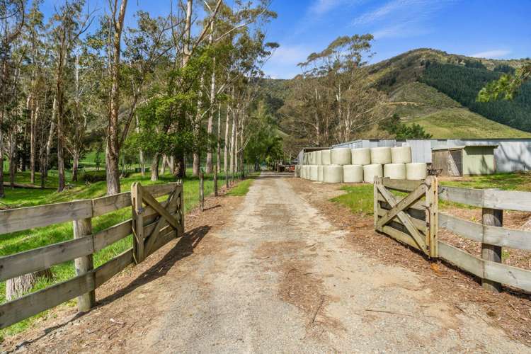 650 Ronga Road Rai Valley_30