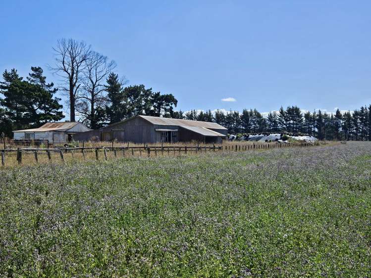 458 Wakarara Road Ongaonga_8