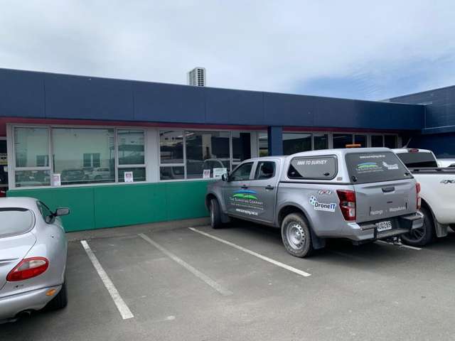 Unit 3, 115 Avenue Road East Hastings Central_4