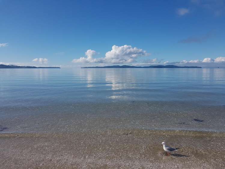 28 Schooner Avenue Snells Beach_25