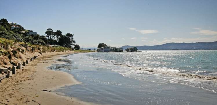 177 Marine Parade Seatoun_14