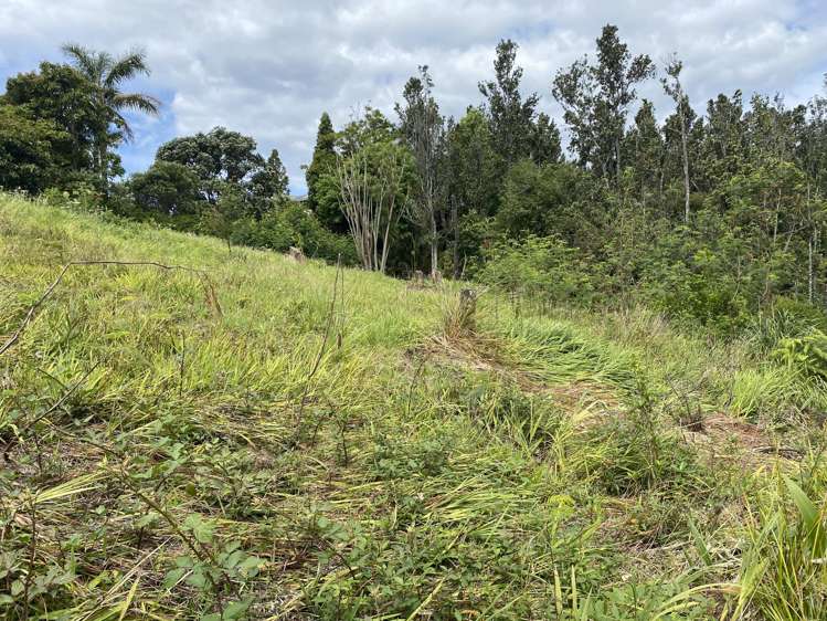 315 The Drive Whangamata_16