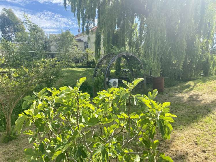 14 Eagle Street Waipawa_2