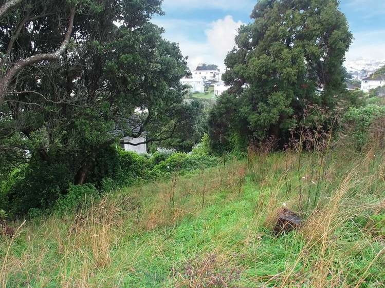 7 Wiltshire Place Cannons Creek_18