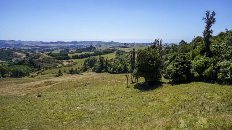 43b Walls Road Waihi_5