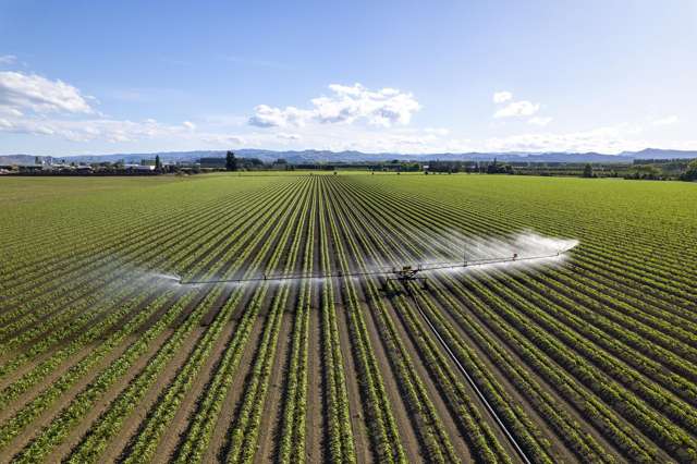 Awapuni and Willows Road Matawhero_2