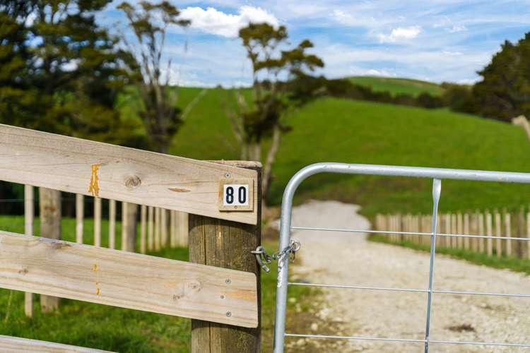 Lot Lots 2 - 4 Pool Road Wellsford_17