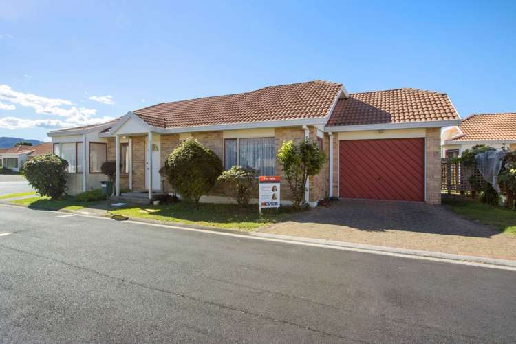 31/32 Park Road Katikati_10