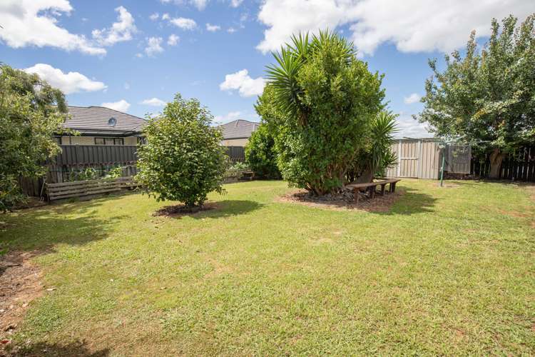 45 Benner Drive Ngatea_21