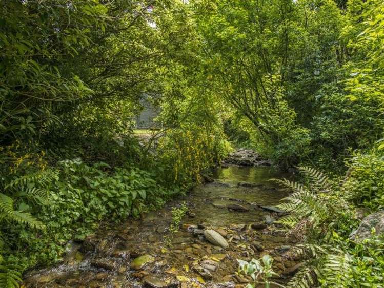 5 Thompson Place Anakiwa and Surrounds_19