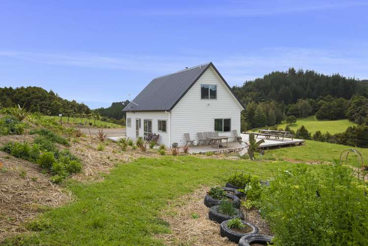 891 Springfield Road Mangapai and Surrounds_5