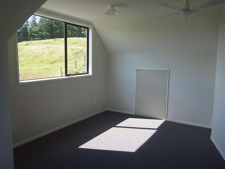 243 Trickers Road Bulls_7