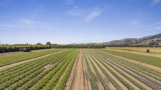 444 Paton Road Hope_1