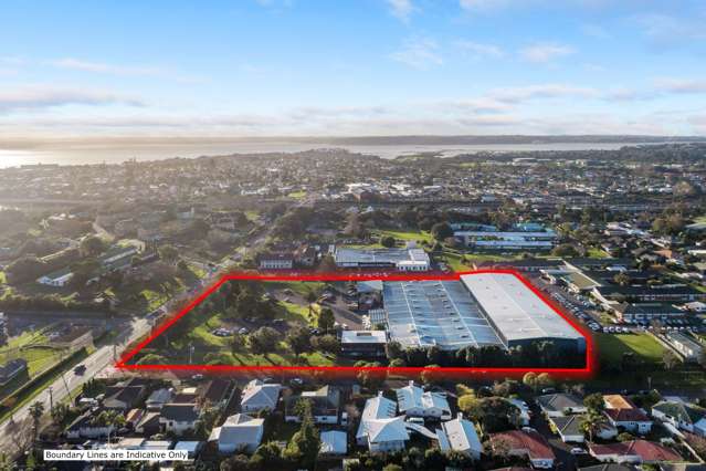 56 Carrington Road Point Chevalier_1