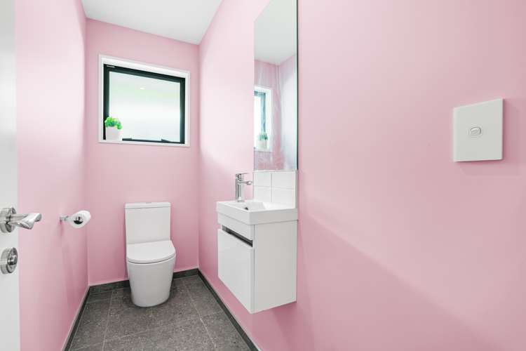 223b Mount Pleasant Road Mount Pleasant_22