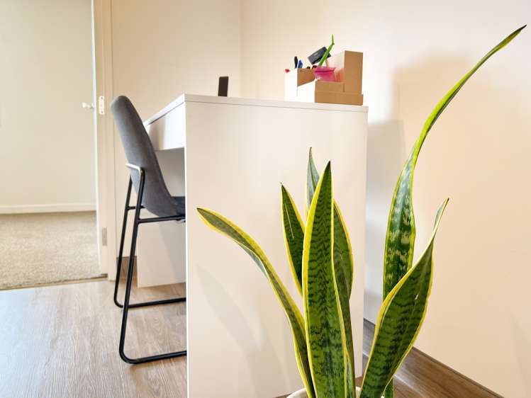 24/10 Rex Street Riccarton_11