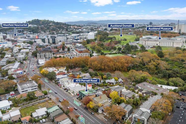 473 Parnell Road Parnell_25