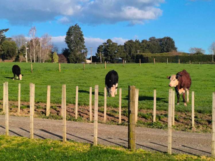 418 Parklands Road_5