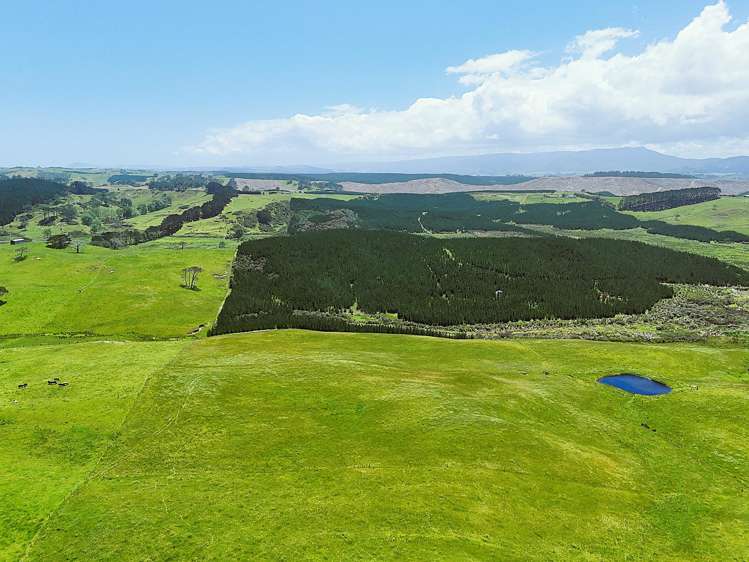 Lot Lot 2 Scottys Camp Road Dargaville_11