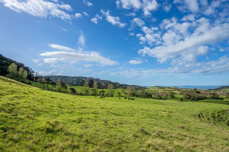 196b Ocean Beach Road Whangarei Heads_19