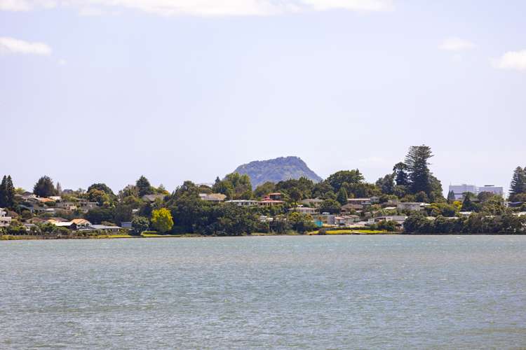 117 Haukore Street Hairini_1