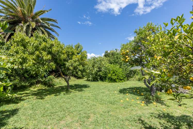 18 Bedford Road Marewa_11